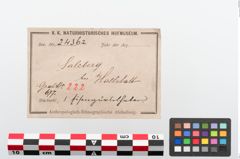 Etiketten zu Eisengürtelhaken (NHMW-PRAE-024362)